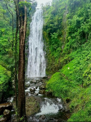 3-Day Tarangire , Ngorongoro…