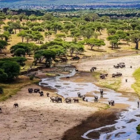 4- Day Tanzania Fly-In…