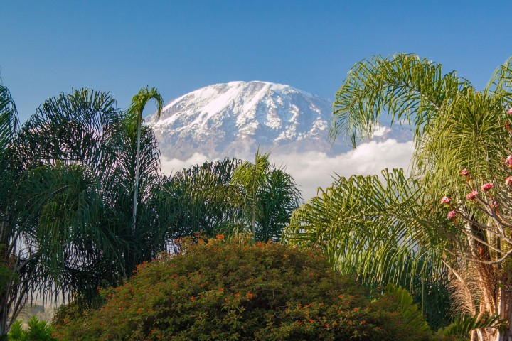 2-Day Hiking to Kilimanjaro…
