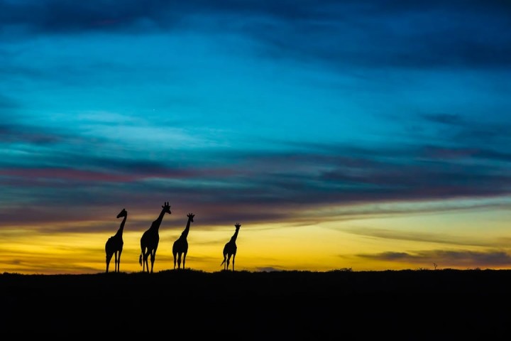 3-Days Last-minute safari…